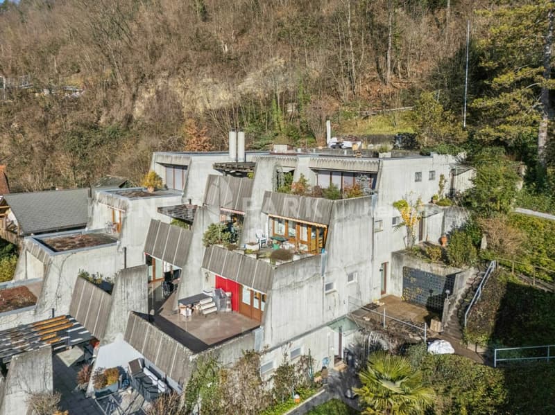 Terrassenwohnung mit Panoramablick über Liestal (2)