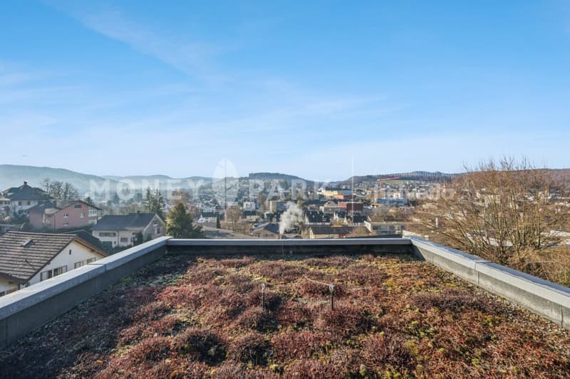 Terrassenwohnung mit Panoramablick über Liestal (13)