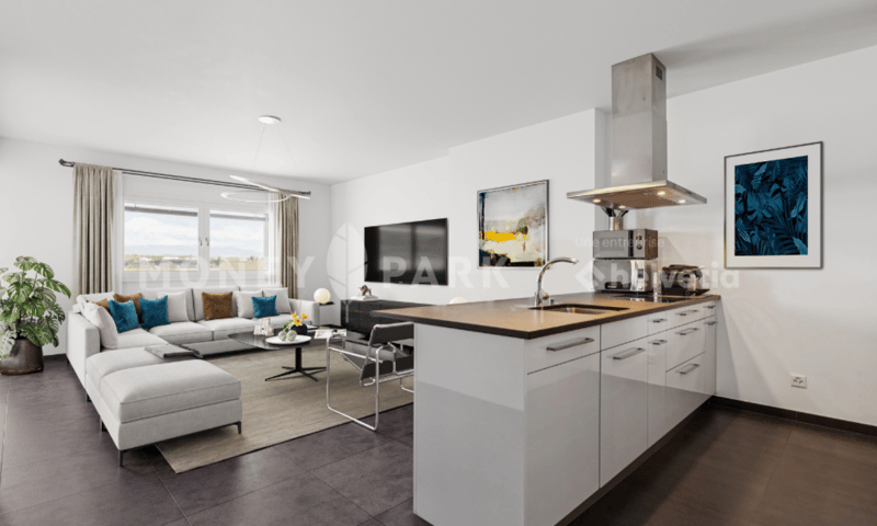 Appartement moderne de 4.5 pièces (3)