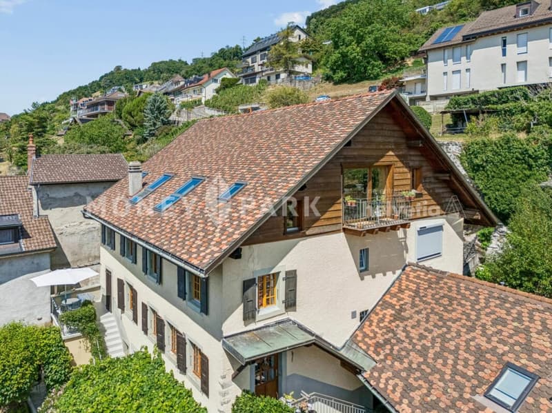Magnifique appartement dans les combles (17)