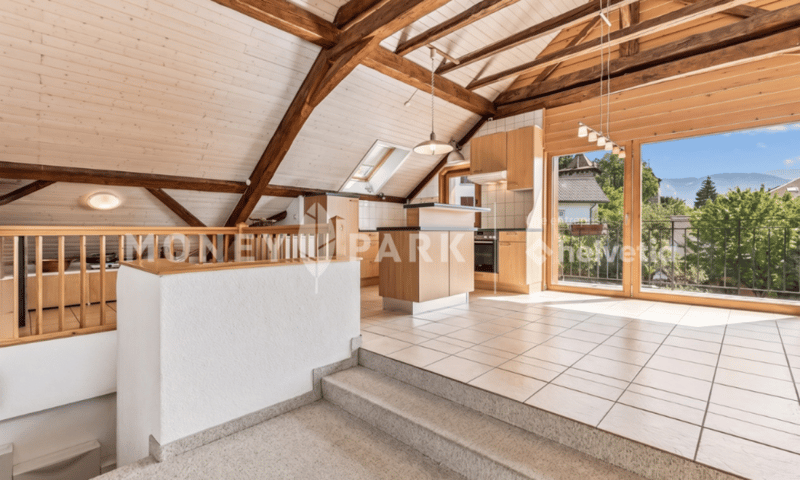 Magnifique appartement dans les combles (5)