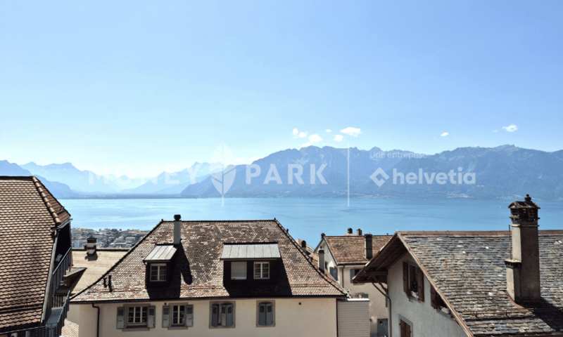 Magnifique appartement dans les combles (16)