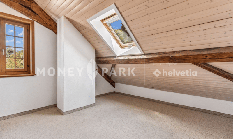 Magnifique appartement dans les combles (6)