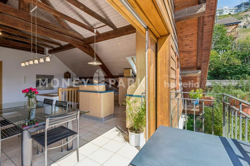 Magnifique appartement dans les combles (10)