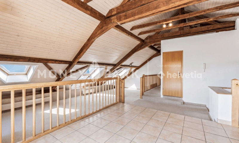 Magnifique appartement dans les combles (4)