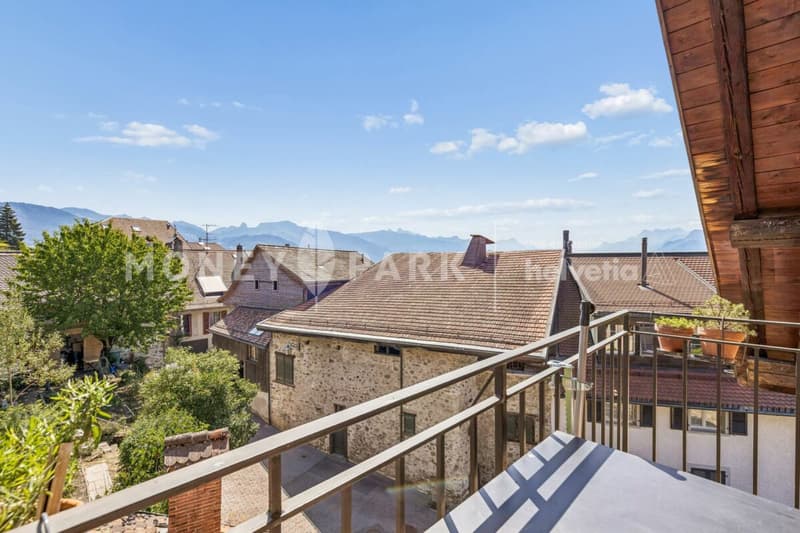 Magnifique appartement dans les combles (2)