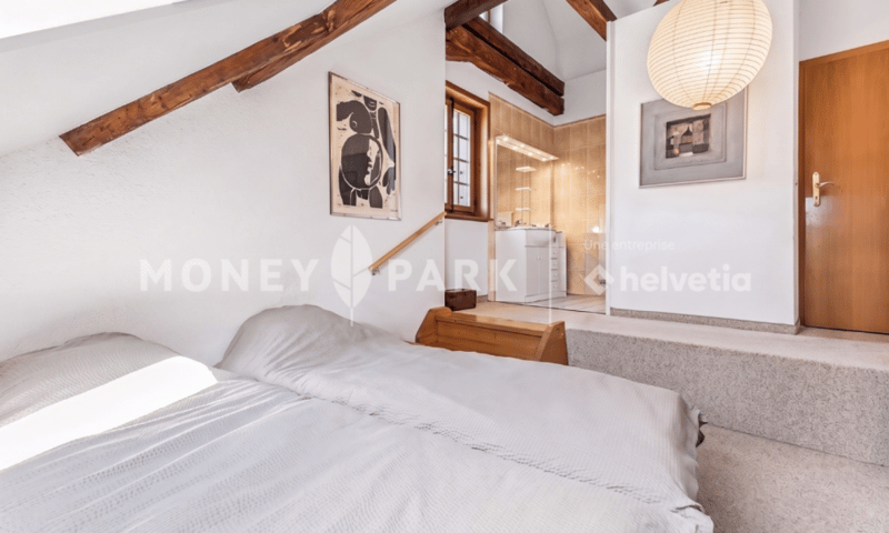 Magnifique appartement dans les combles (11)