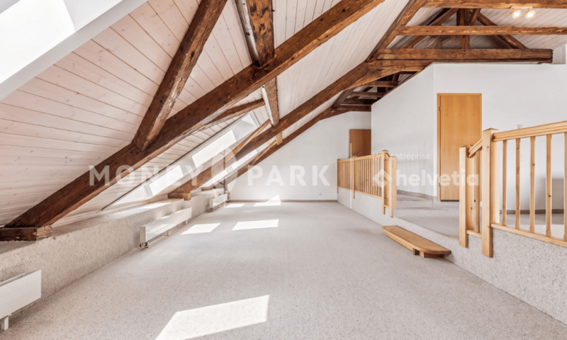Magnifique appartement dans les combles (3)