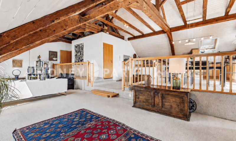 Magnifique appartement dans les combles (9)