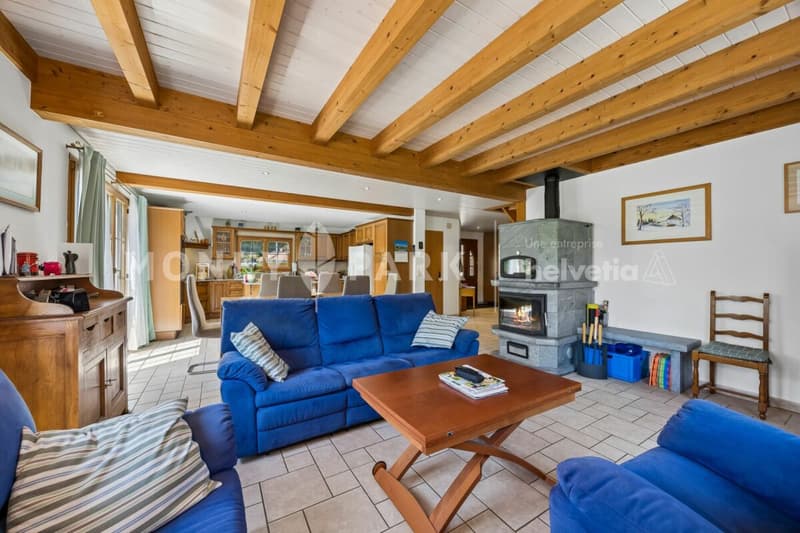 Spacieuse maison familiale avec grand jardin et volumes généreux (4)