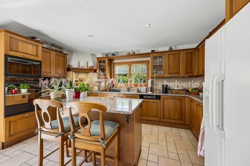 Spacieuse maison familiale avec grand jardin et volumes généreux (3)