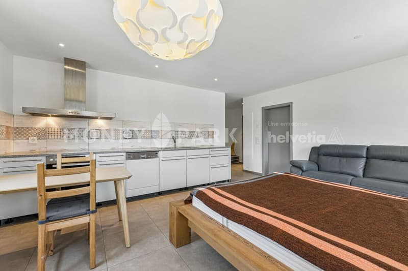 Magnifique propriété de 8 pièces avec hangar technique et quatre garages (13)