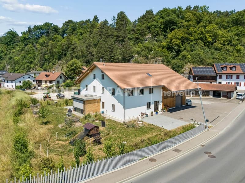 Magnifique propriété de 8 pièces avec hangar technique et quatre garages (1)
