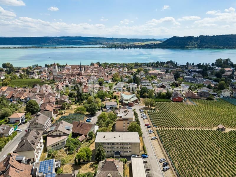 Appartement de 4.5 pièces avec balcon et vue sur le lac (1)