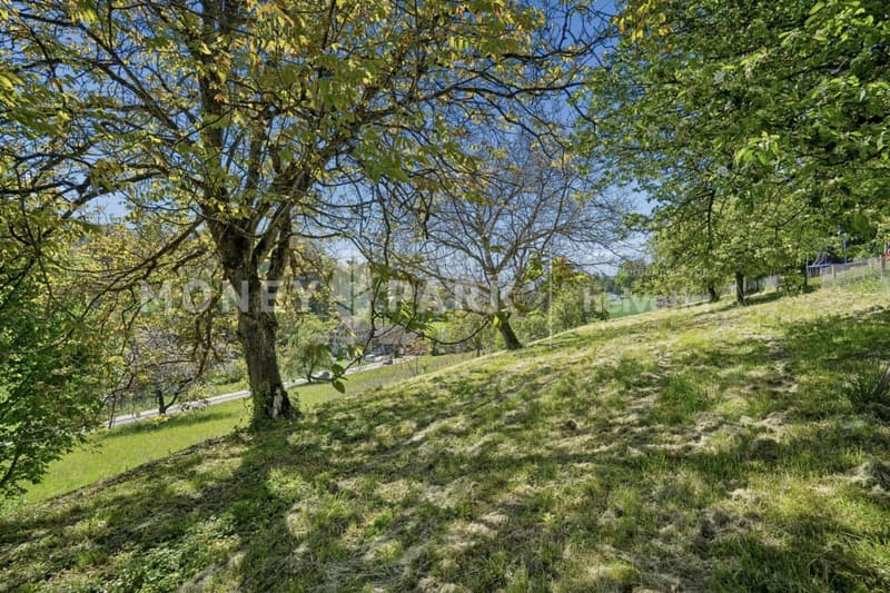 Reserviert: Bauland mit hochwertiger Bestandsliegenschaft. Eine seltene Gelegenheit. (3)