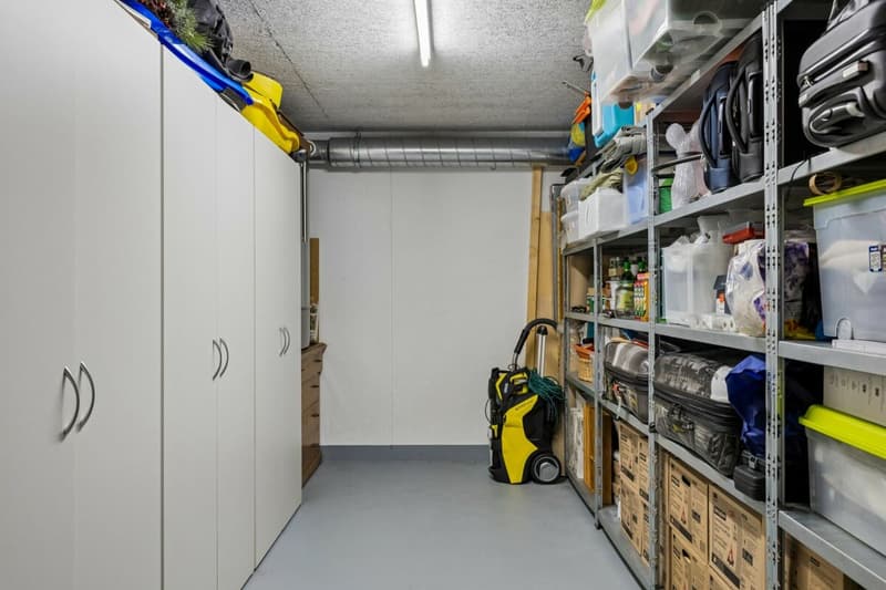Exklusive 4.5-Zimmer-Attikawohnung mit Seeblick (17)