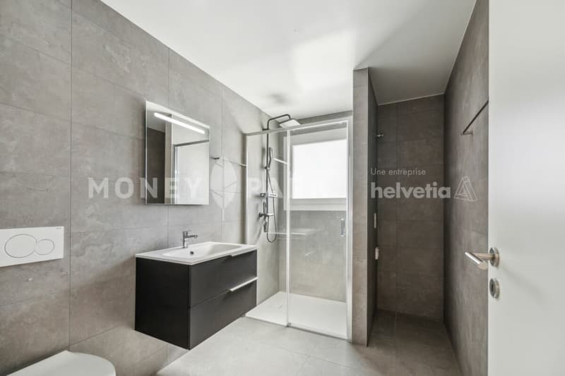 Appartements neufs de 3.5 pièces (7)