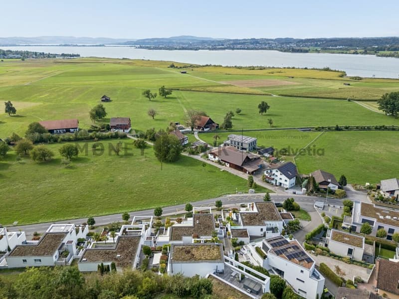 4.5- (5.5-)Zimmer-Terrassenwohnung am Zürichsee mit 180° Seesicht (2)