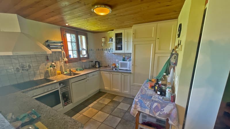 Chalet Bodmen (4)
