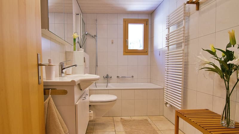 Penthouse Silberhorn (19)