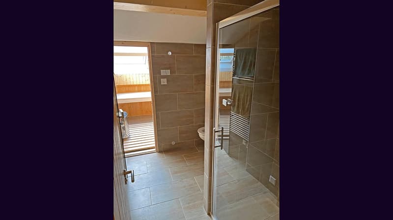 Bathroom with a shower, toilet, and sauna