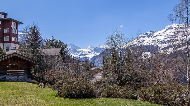 grass, trees, shrubs, wooden house, mountains in the background