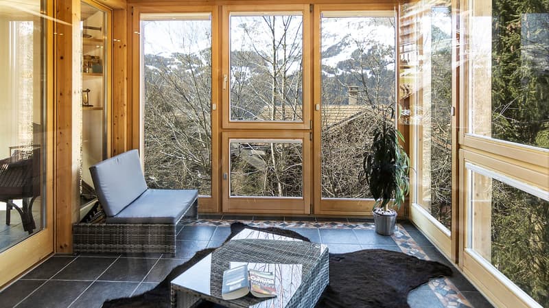 wooden walls, large windows, couch, coffee table, rug, plant