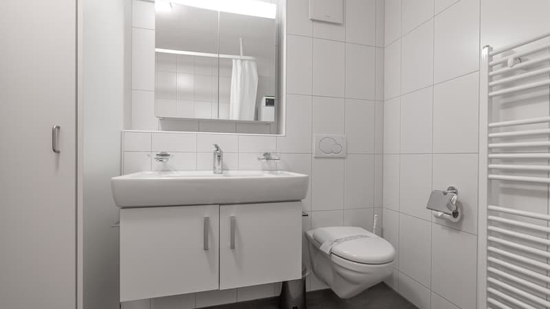 Luterbach 208W (11)