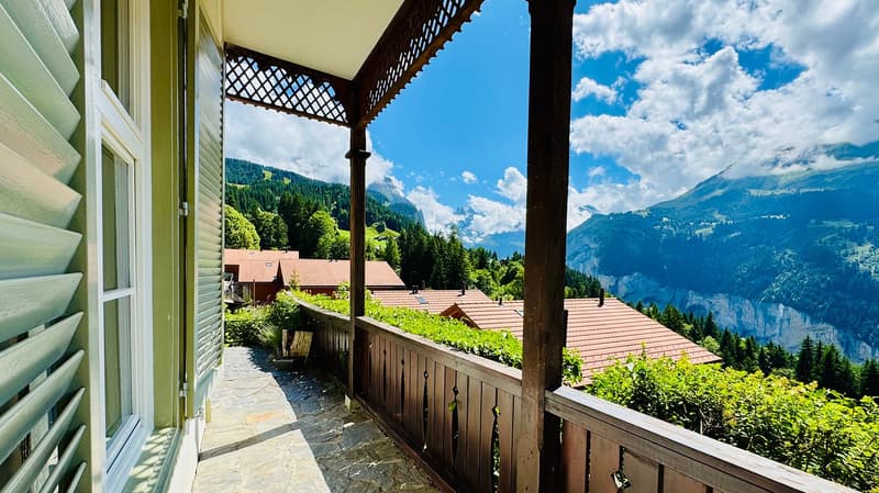Chalet des Alpes (17)