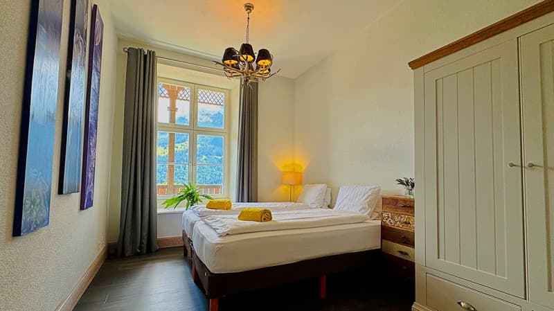 Chalet des Alpes (7)