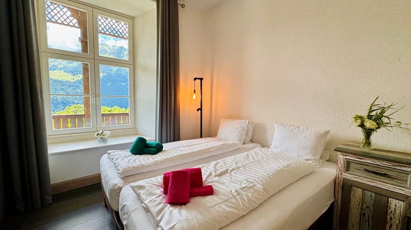 Chalet des Alpes (8)