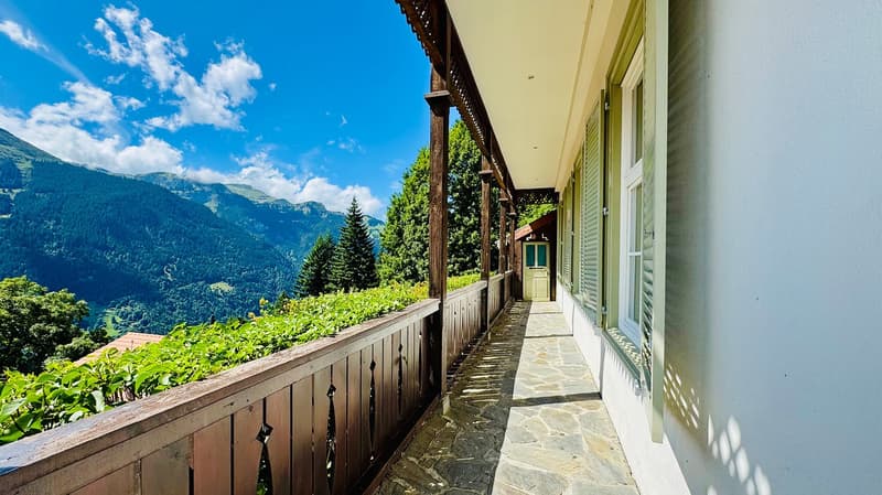 Chalet des Alpes (18)