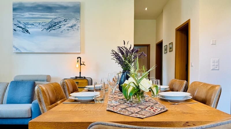 Chalet des Alpes (16)