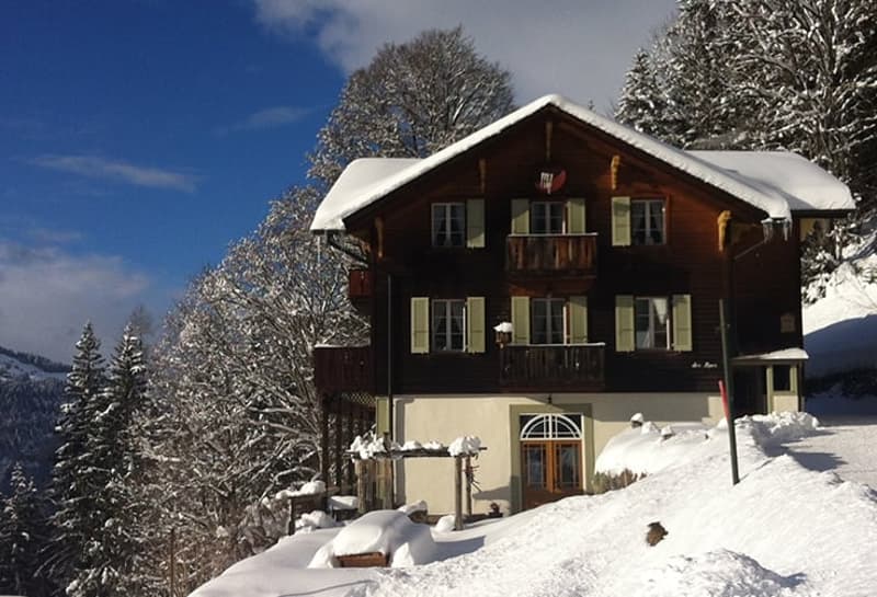 Chalet des Alpes (1)