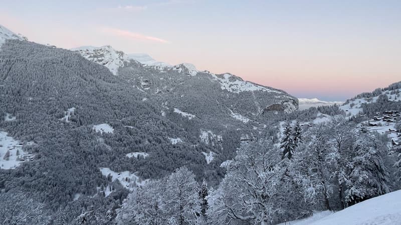 Chalet des Alpes (19)