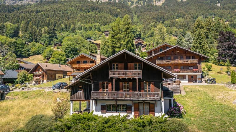 Chalet 43 (16)
