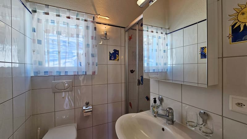 Chalet Sternschnuppe (14)