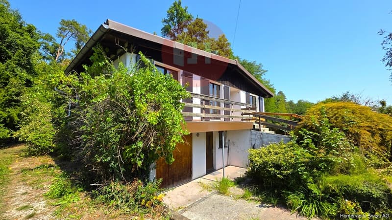 Einfamilienhaus Ost