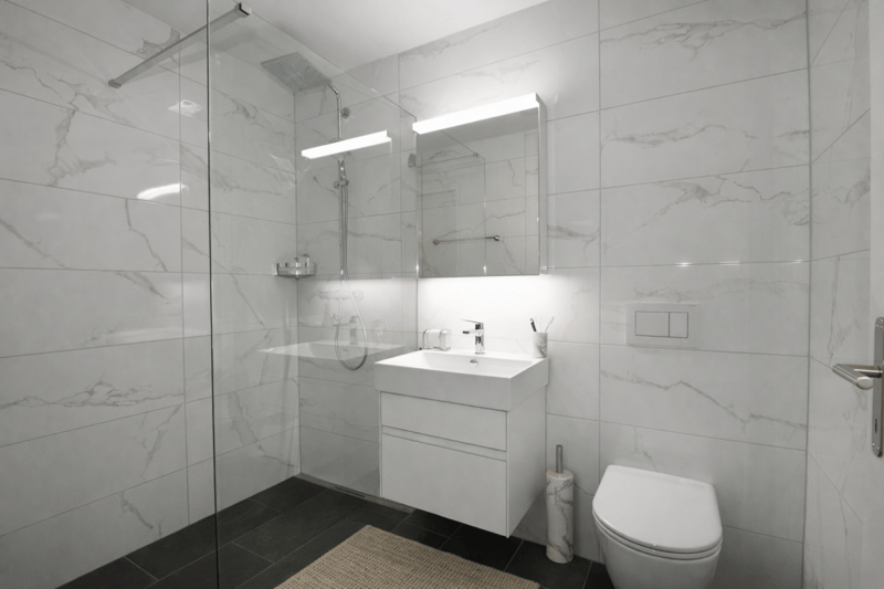 Modern 2.5-room new apartment with balcony (3)