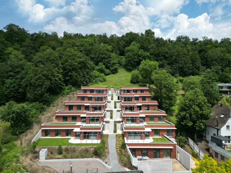 Terrassenwohnungen in einem architektonisch markanten Terrassenhaus (1)