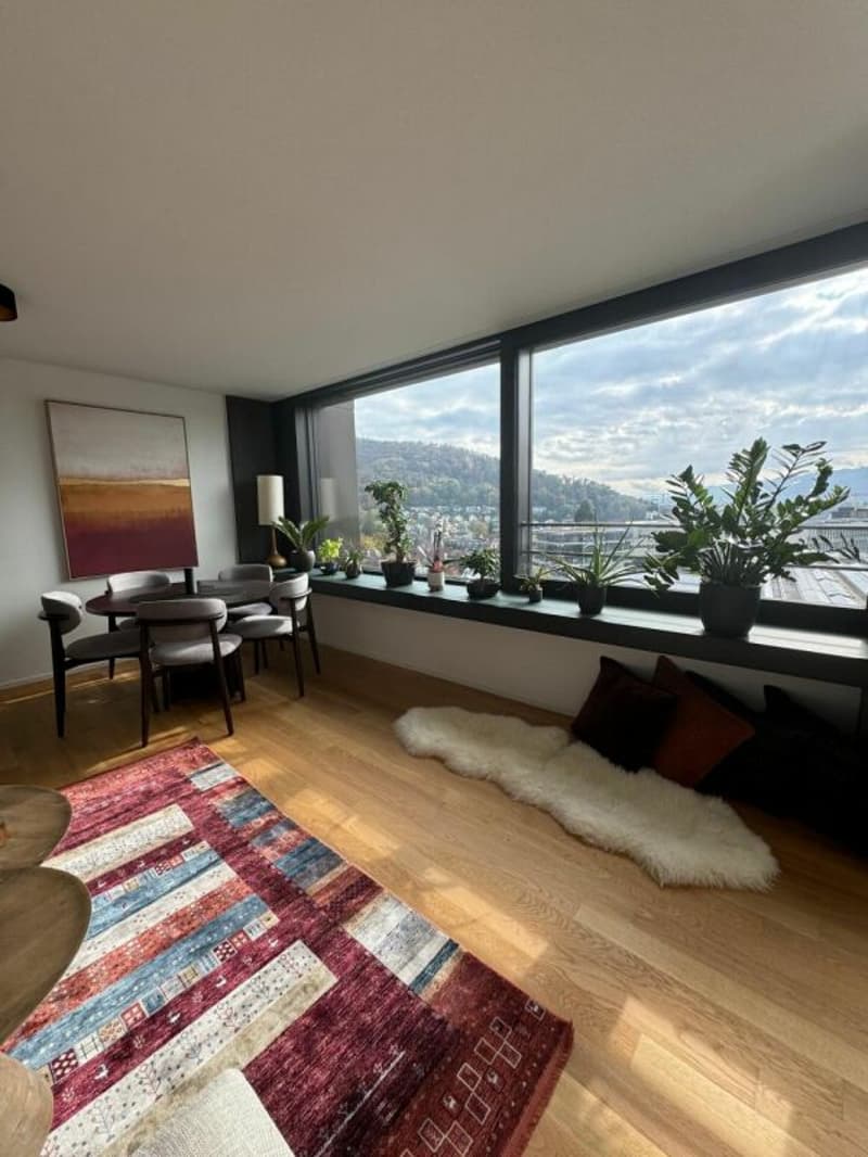 Möblierte 2-Zimmer-Wohnung in Baden (befristet) (1)