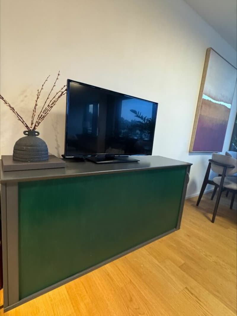 Möblierte 2-Zimmer-Wohnung in Baden (befristet) (5)