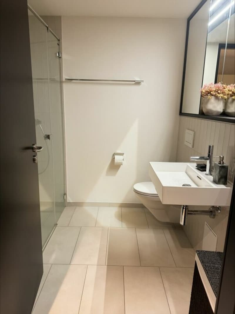 Möblierte 2-Zimmer-Wohnung in Baden (befristet) (7)