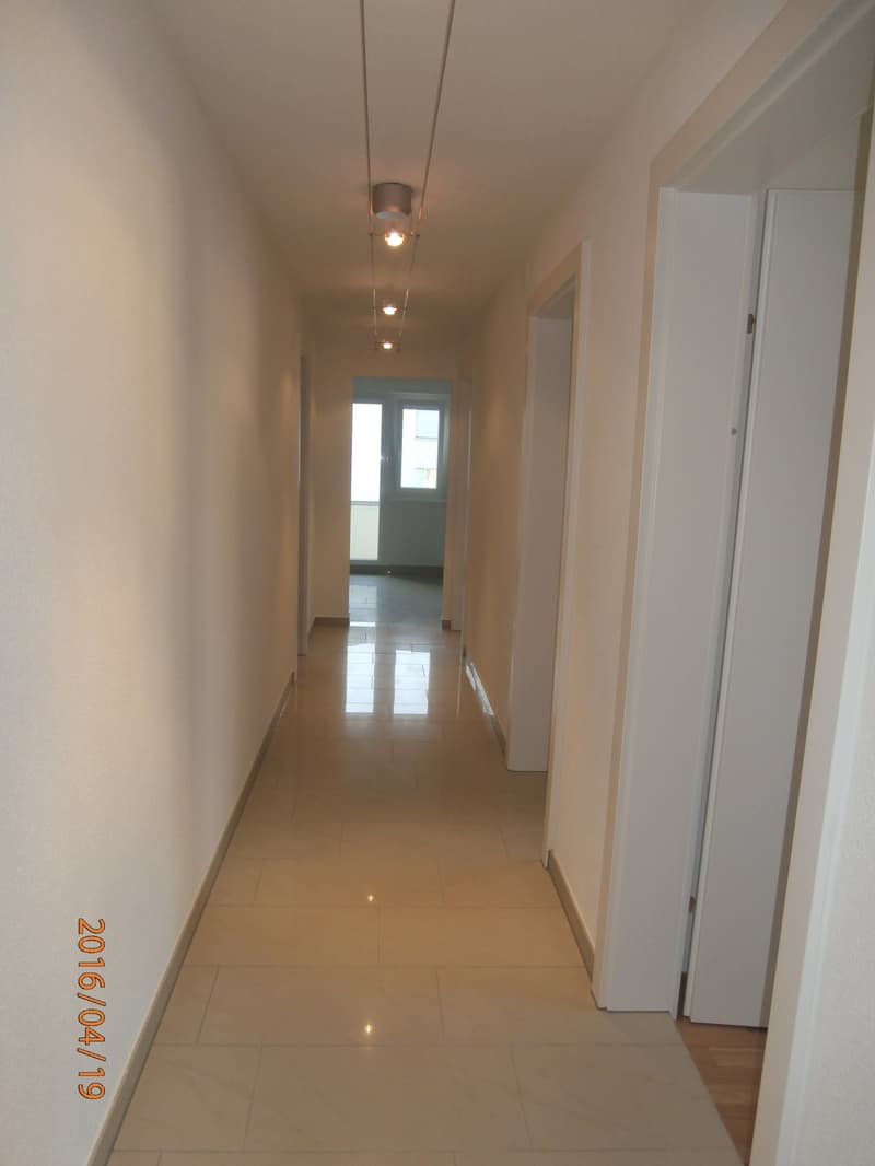 3 1/2 Zimmerwohnung zu vermieten (3)