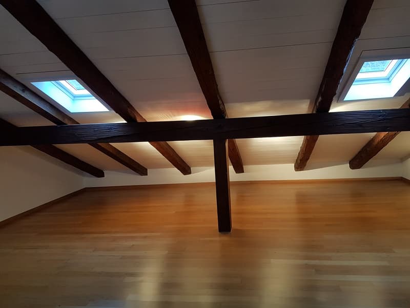 schöne 3 1/2 Zimmer-Duplex-Wohnung zu vermieten (8)