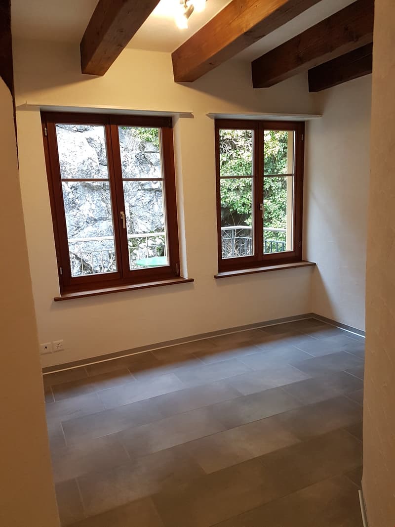 schöne 3 1/2 Zimmer-Duplex-Wohnung zu vermieten (7)