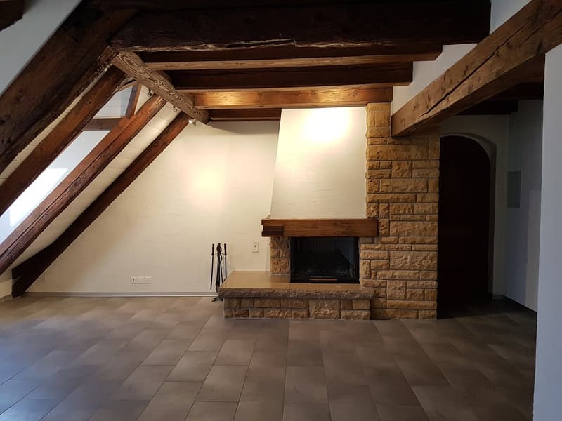 schöne 3 1/2 Zimmer-Duplex-Wohnung zu vermieten (3)