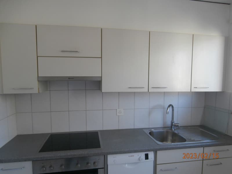 3.5 Zimmerwohnung zu vermieten (4)