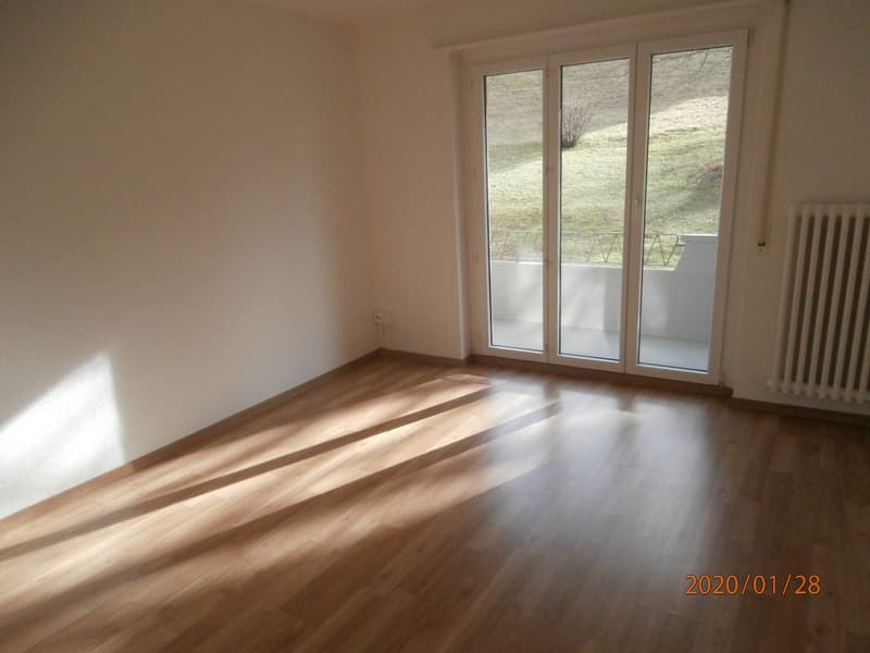 3 1/2 Zimmerwohnung zu vermieten (7)