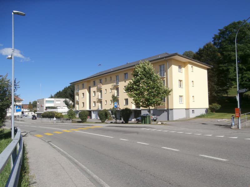3 1/2 Zimmerwohnung zu vermieten (1)